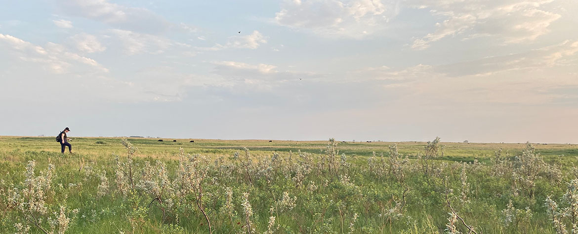 Conservation intern in Manitoba (Photo by NCC)