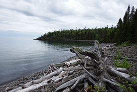 Wilson Island, ON (Photo by NCC)